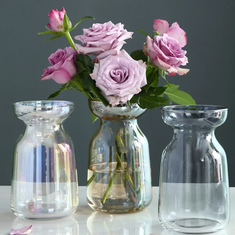 

Vase Color Modern Simple Terrarium Home Decoration Accessories For Living Room Florero